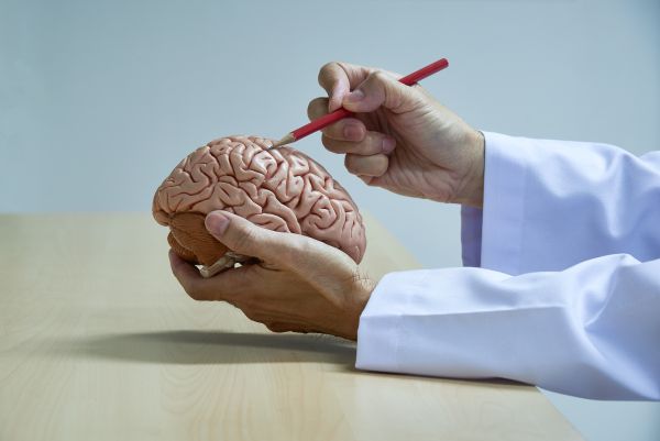 neurosurgeon-2006
